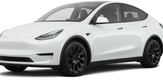 TESLA MODEL Y 2020 5YJYGDEE1LF019902 image